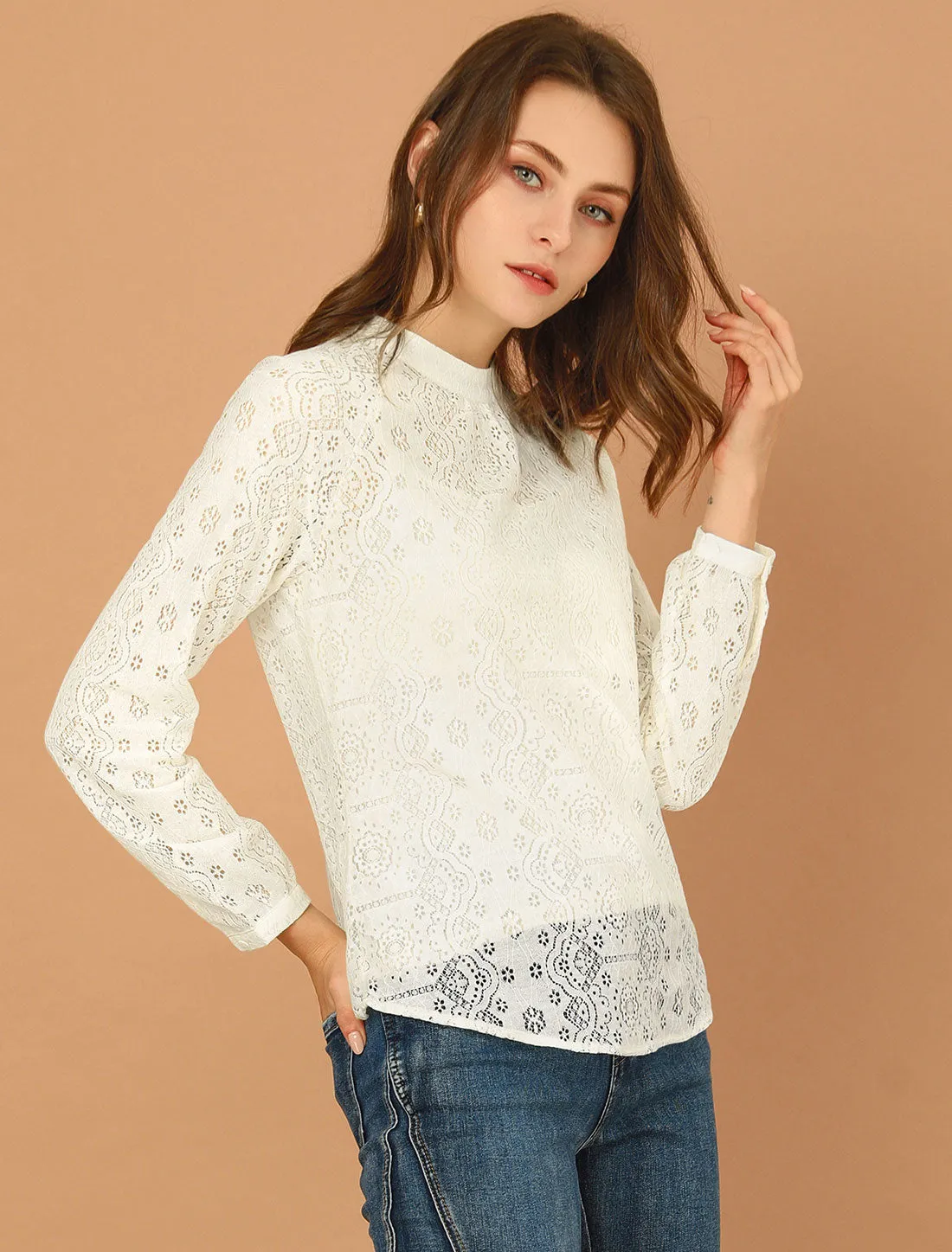 Lace Long Sleeve Floral Vintage Stand Collar Eyelet Blouse