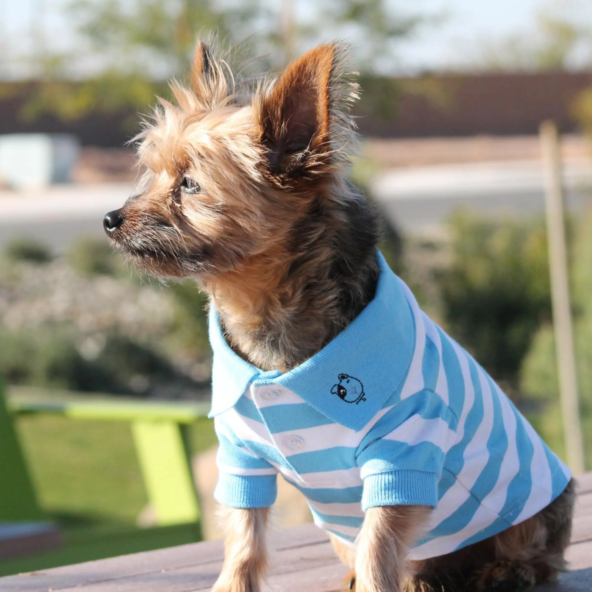 Polo Shirt | Azure Stripes